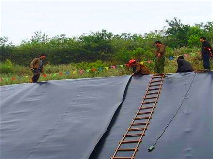土工膜用于淡水養殖池的好處有哪些